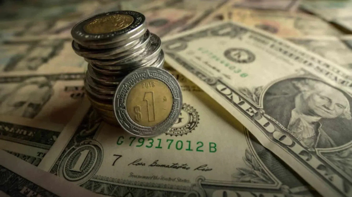 Foto: Freepik / El  tipo de cambio de la moneda extranjera puede variar constantemente a lo largo del día.