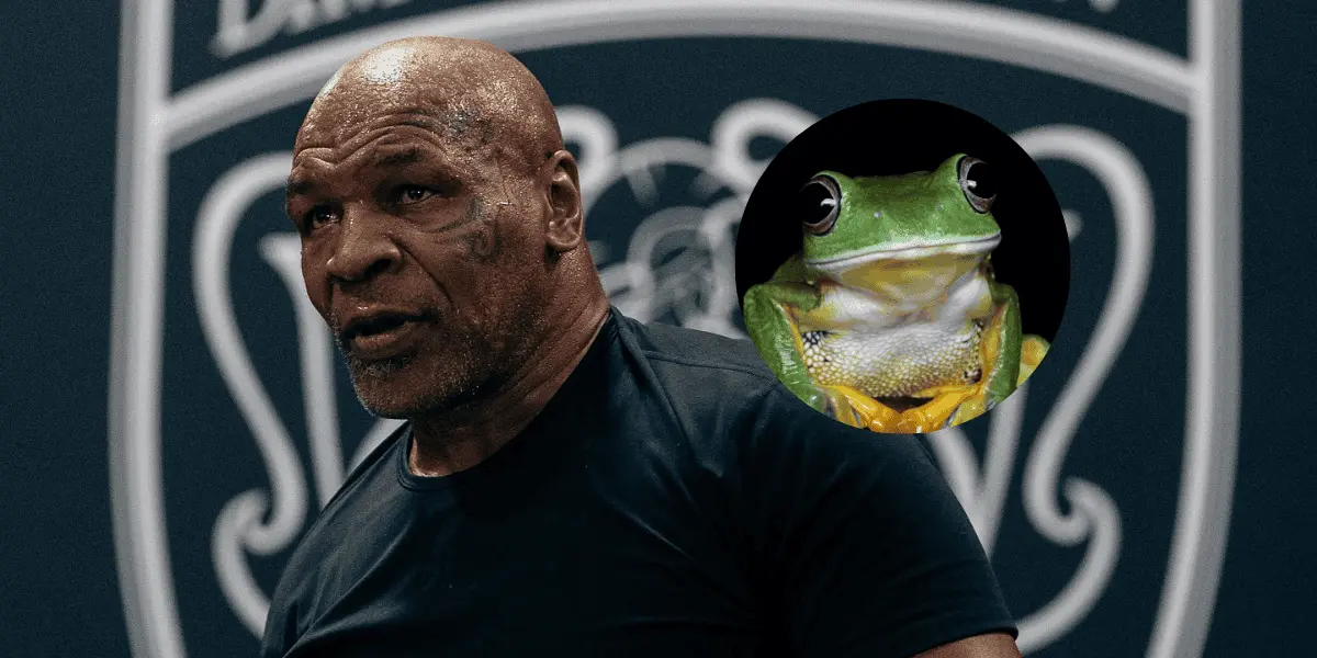La droga que produce este sapo endémico de Sonora es 5 veces más potente que el TCH.