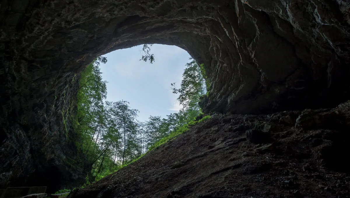 Cueva misteriosa | Freepik
