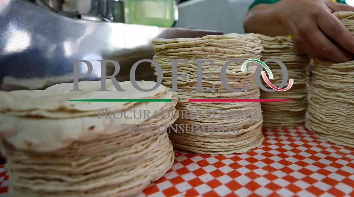 Profeco:  Esta tortillería de Hermosillo tiene el precio más caro de tortilla de maíz