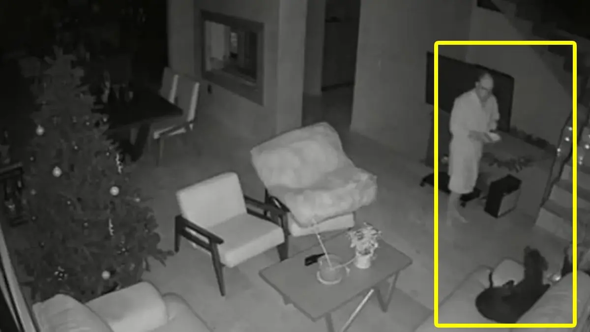 VIDEO | El susto de su vida: perro espanta a su dueño al decirle “hola”