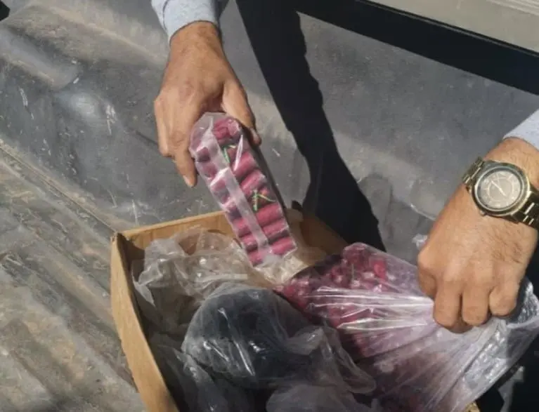 Protección Civil de Cajeme: Riesgoso, comprar fuegos artificiales por Internet