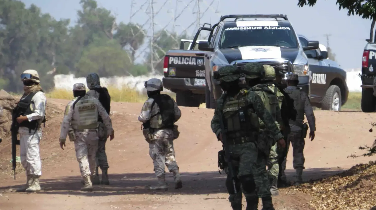 Dan golpe a la delincuencia al norte de Sonora