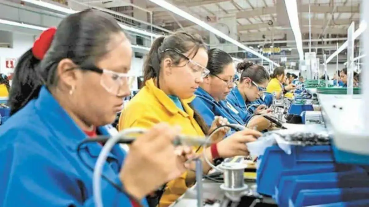 perdida de empleo por aranceles Fuentes: X