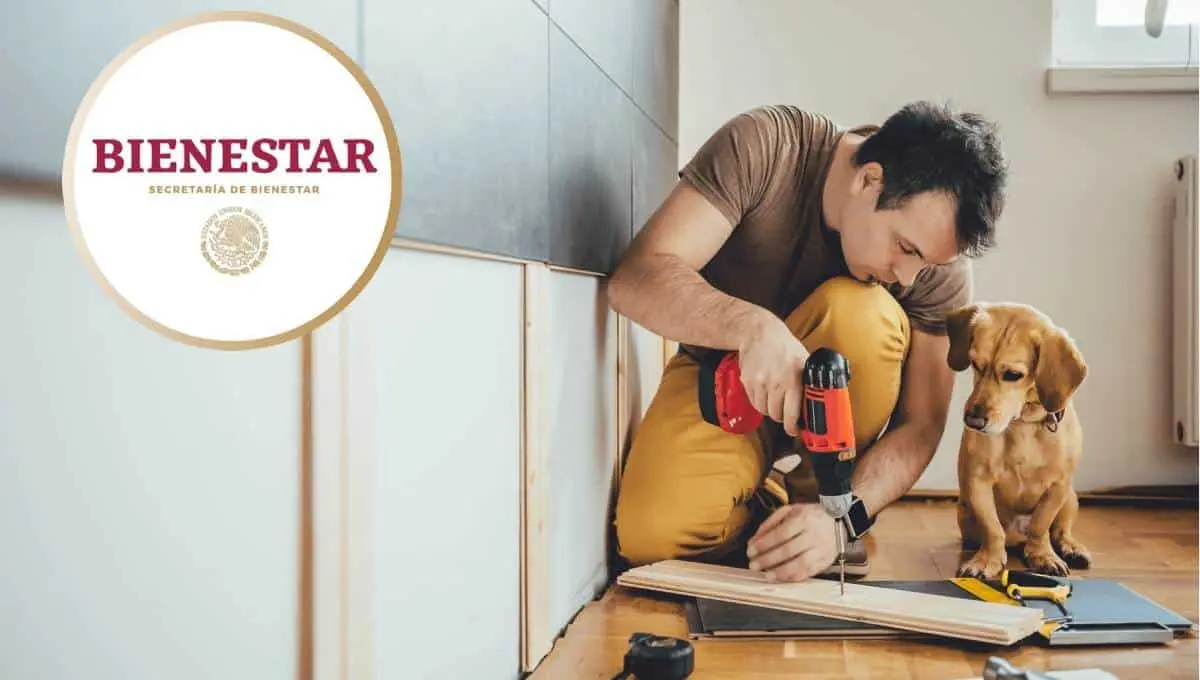 Bienestar dará 90 mil pesos para renovar o ampliar tu casa. Foto: Original