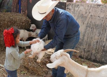 Tras ataque de jauría en nacimiento de Cócorit, quieren más esterilizaciones 