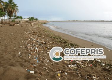 Cofepris: Las playas más contaminadas de México en 2024