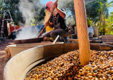 Crean pinole artesanal en Cócorit