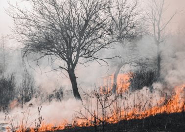 NASA alerta que el aumento de temperaturas globales intensifica incendios, nevadas y huracanes