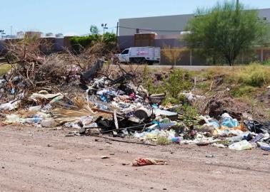 En Cajeme, multarán a quienes tiren basura en la vía pública