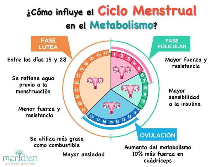 imagen-cuerpo