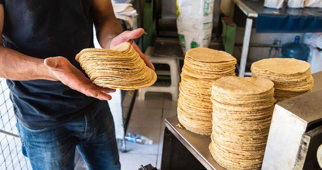 Sube 34 centavos el costo de la tortilla en Cajeme