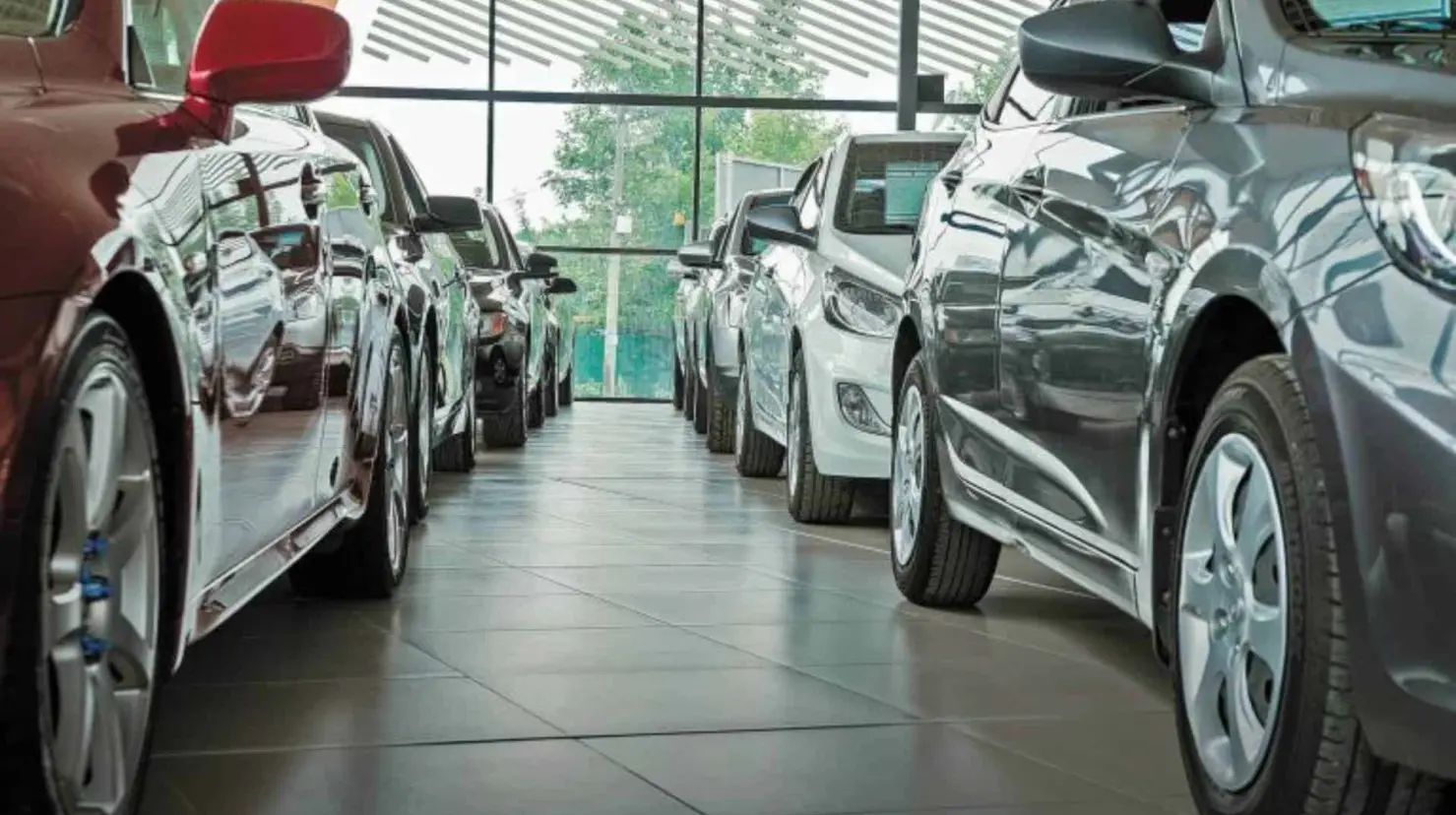 ¿Qué son los ‘coyotes’ y por qué preocupan a las agencias de autos seminuevos?