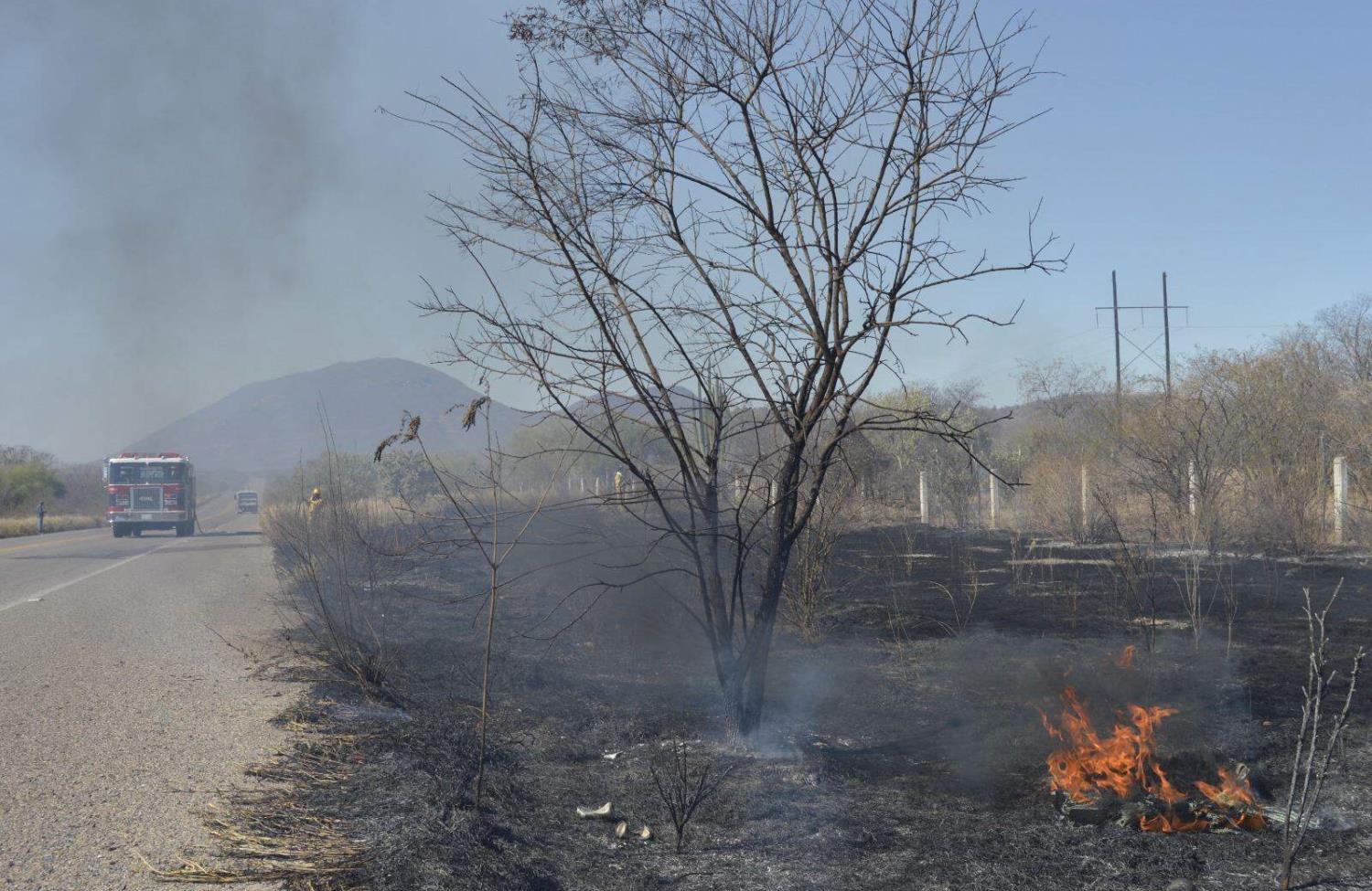 Incrementa riesgo en Álamos por incendios forestales