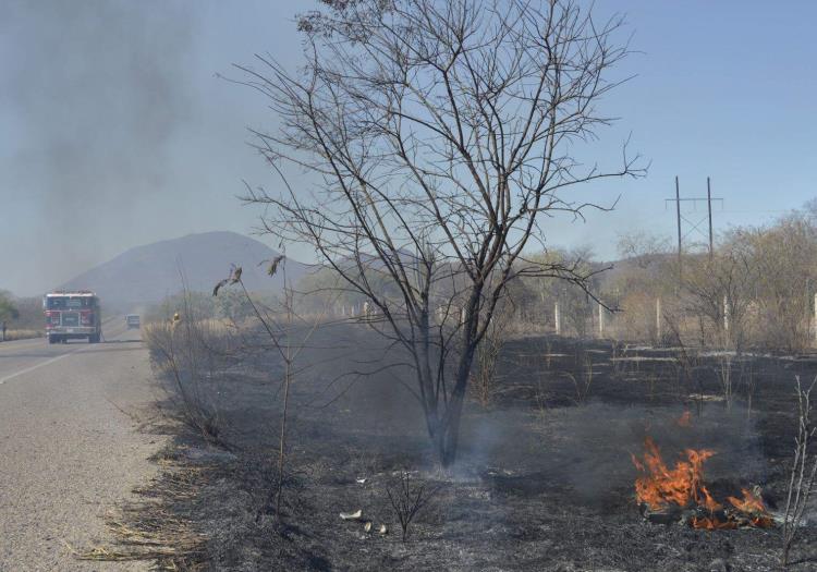 Incrementa riesgo en Álamos por incendios forestales