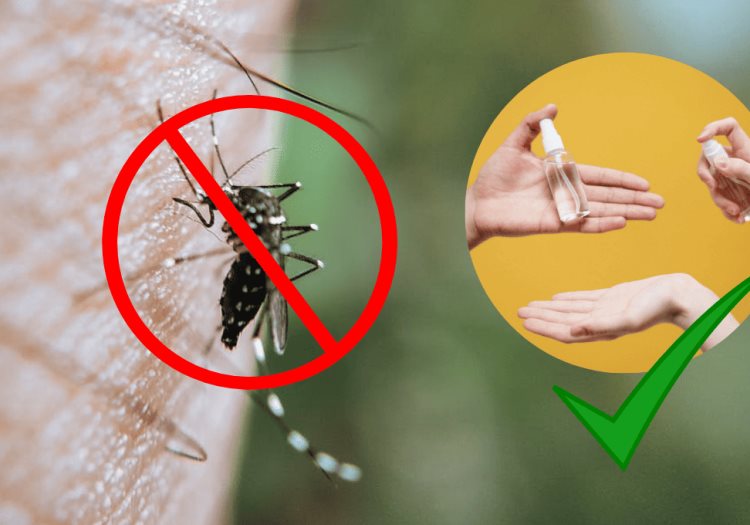 3 métodos que NO funcionan para alejar a los mosquitos de casa ¿Cuáles son efectivos?