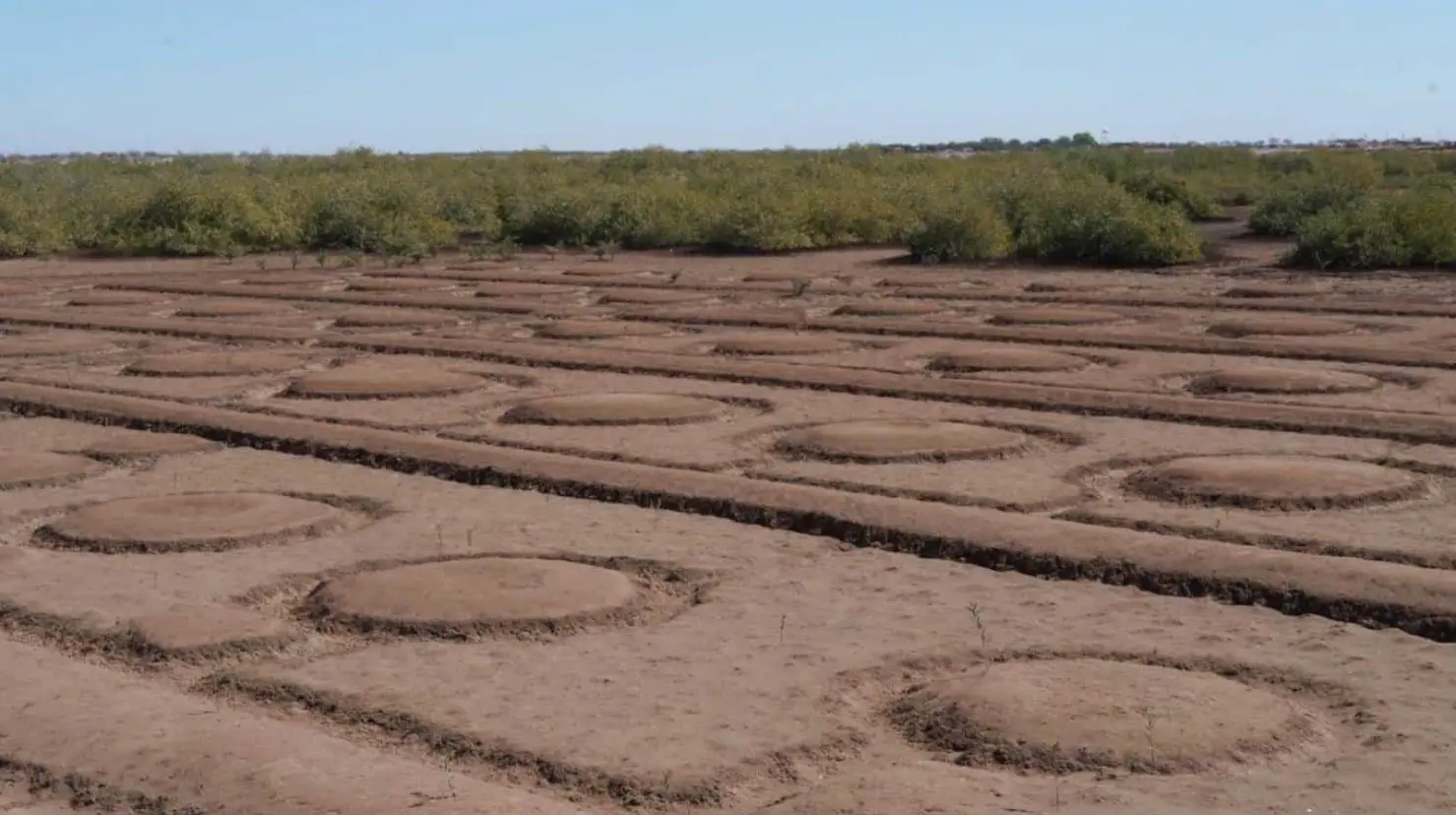 ¿Presencia de extraterrestres? Encuentran extrañas figuras en Bahía de Lobos
