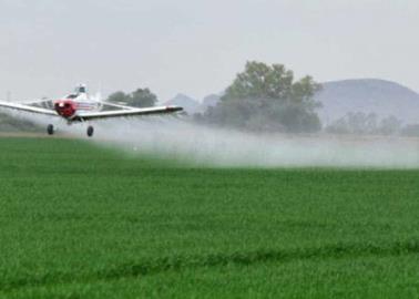 Cae 55% el sector de la fumigación aérea