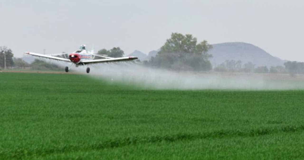 Cae 55% el sector de la fumigación aérea