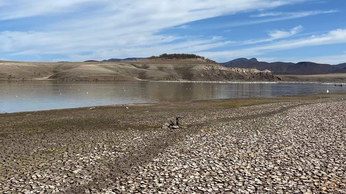 Casi seca la Mocúzari