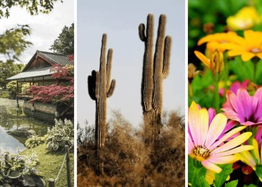 Estos son los ecosistemas que puedes ver en Jardines de México| Semana Santa