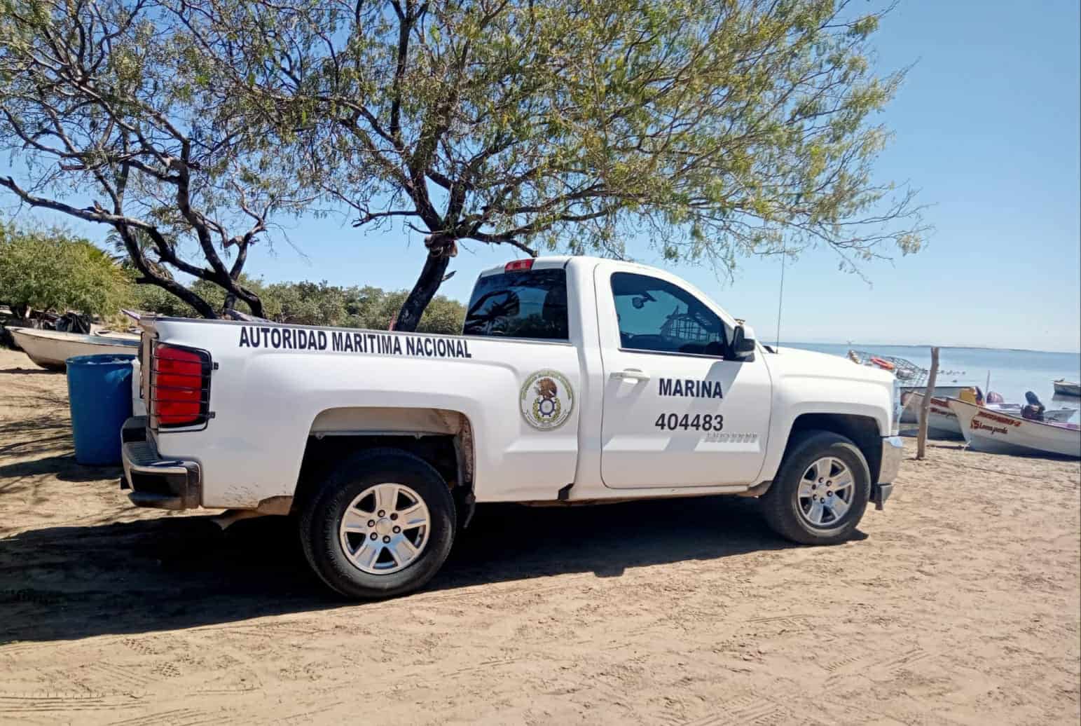 Otro avistamiento de tiburón en el Sur de Sonora