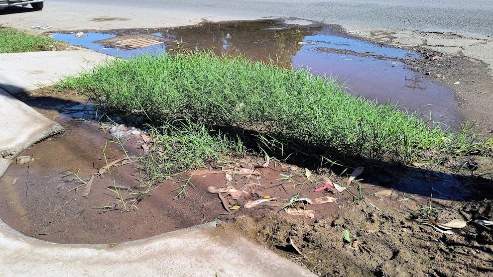 Vecinos de Villa Fontana de Cajeme piden que se atiendan problemas de desperdicio de agua