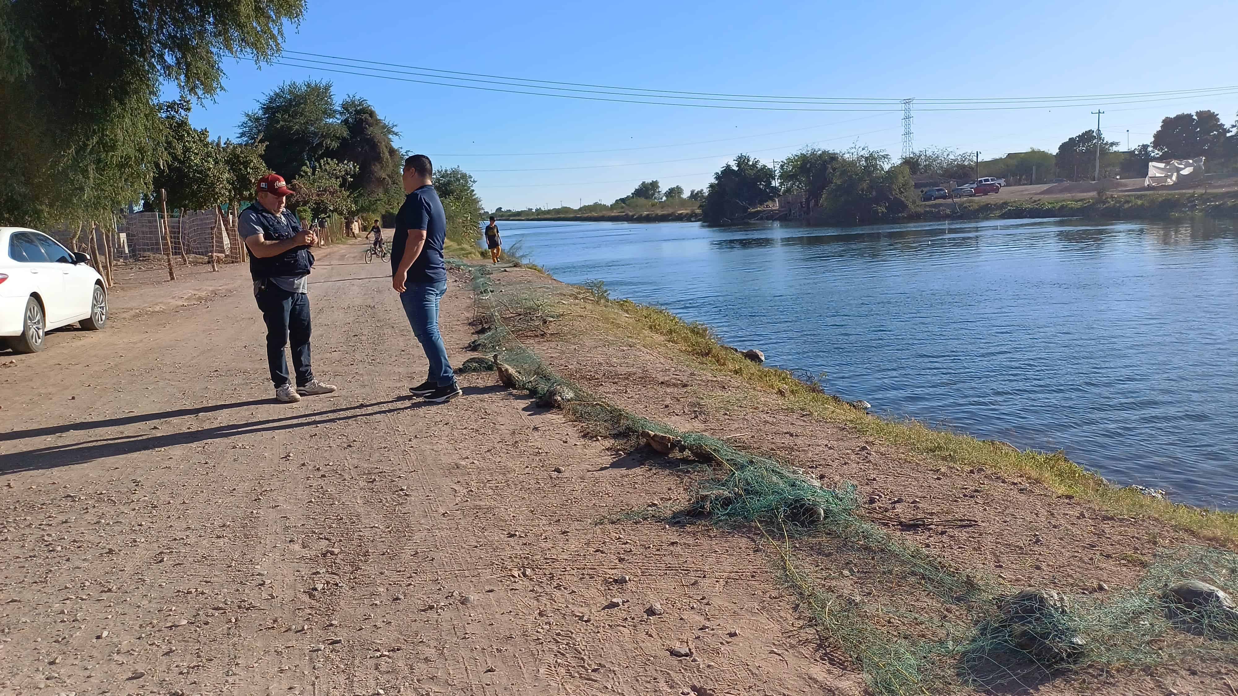 En Cajeme, investigan muerte de tortugas en el Campo 2