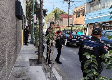 ¿Es ilegal plantar un árbol en la banqueta de tu casa? Requisitos y sanciones en CDMX