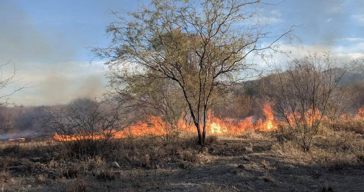 En Álamos aumentan los incendios forestales