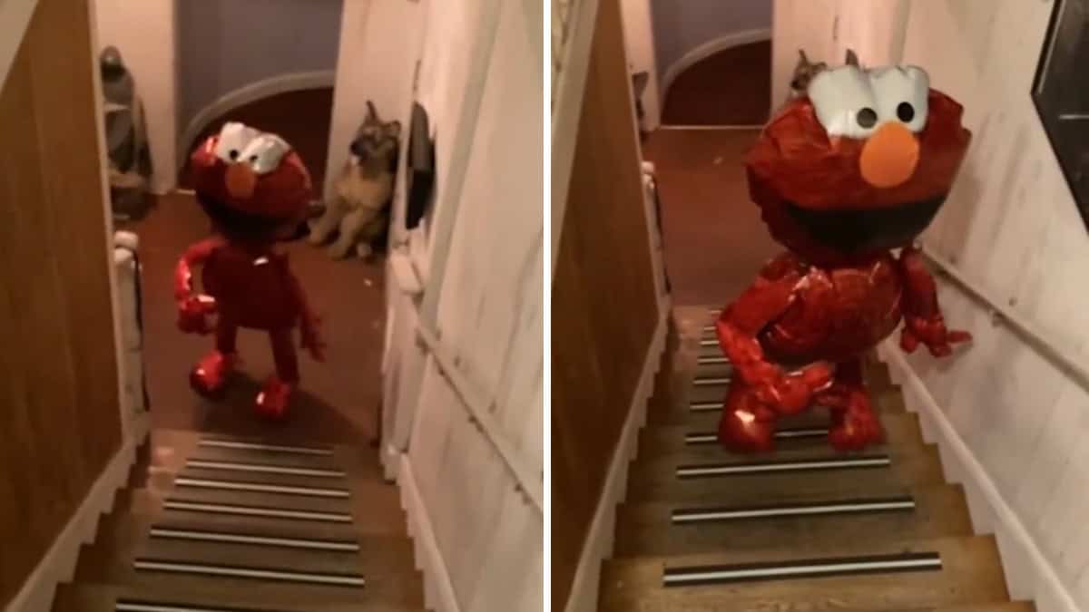 VIDEO PARANORMAL | Mujer graba cómo un globo del Elmo sube las escaleras y apaga la luz