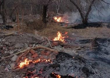 Aumentan incendios forestales en Álamos