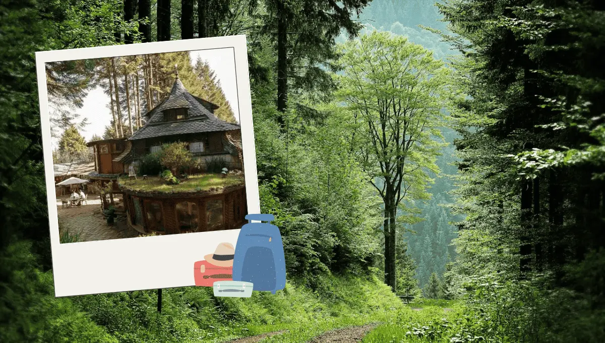 Fuente: Pexels/ mali maeder, Canva, Instagram boxqueteva