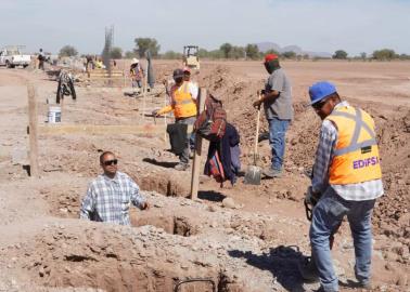 Destinan cientos de árboles para el Parque Gratitud en Cajeme