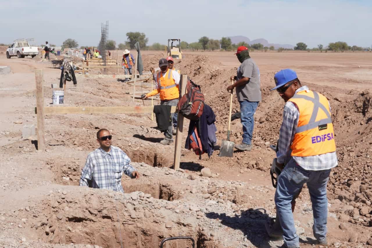 Destinan cientos de árboles para el Parque Gratitud en Cajeme