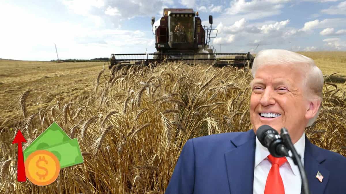 Trump va contra el campo: anuncia aranceles para todos los productos agrícolas extranjeros