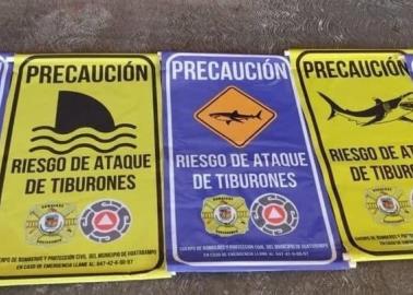 Advertirán con carteles presencia de tiburones en Huatabampito