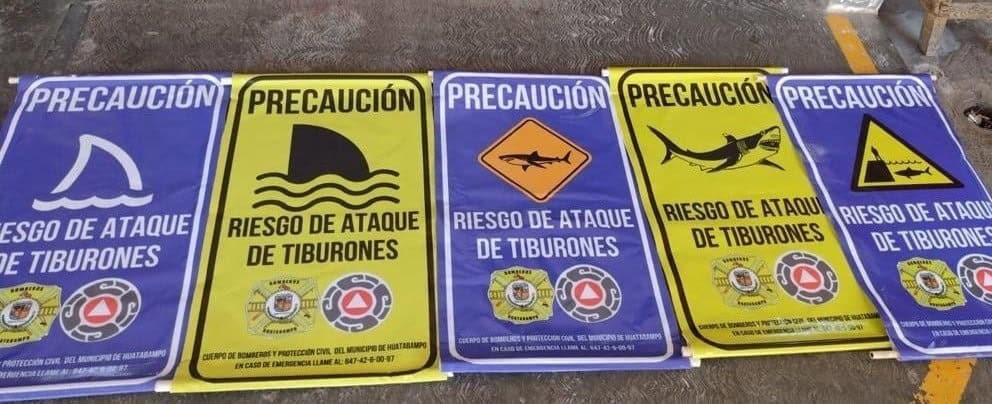 Advertirán con carteles presencia de tiburones en Huatabampito