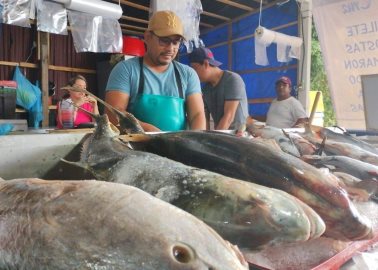 Cuaresma 2025: Estos son los mariscos más baratos para esta temporada