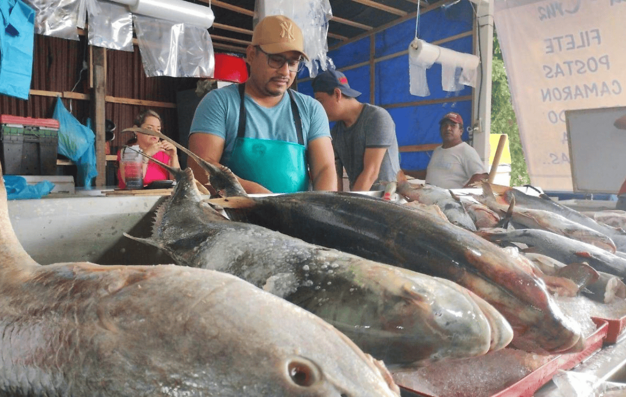 Cuaresma 2025: Estos son los mariscos más baratos para esta temporada