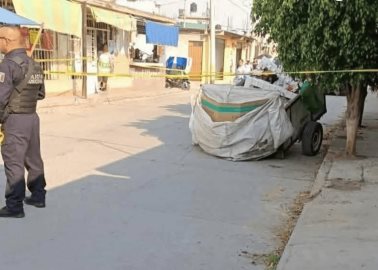 Abandonan feto en la basura en Tultitlán: detienen a menor de edad