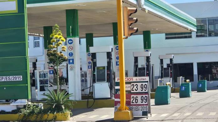 Incosteable precio de gasolina: Rivera