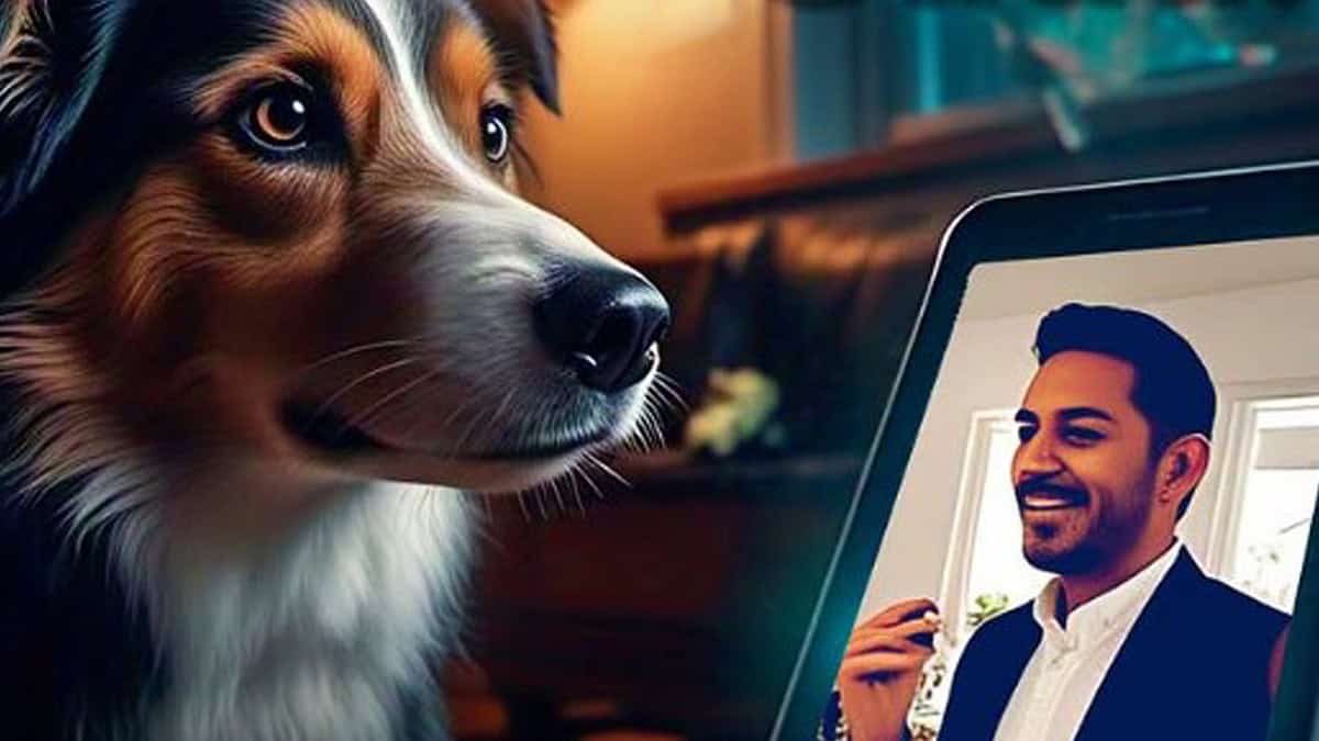 Crean el teléfono para mascotas; la fecha de lanzamiento está por definirse