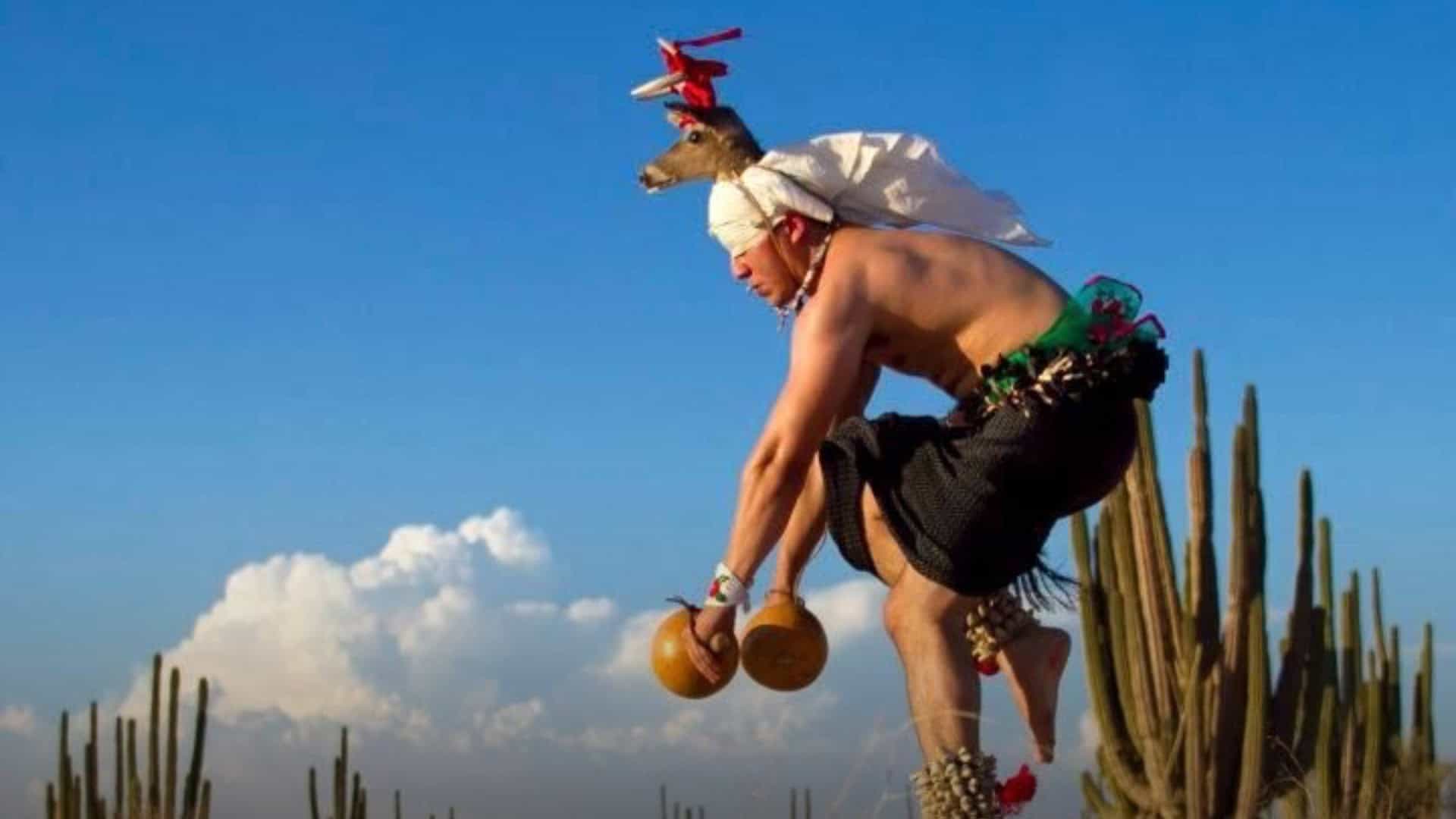 ¿Cuánto cuesta el vestuario para la danza del venado y dónde comprarlo en Sonora?