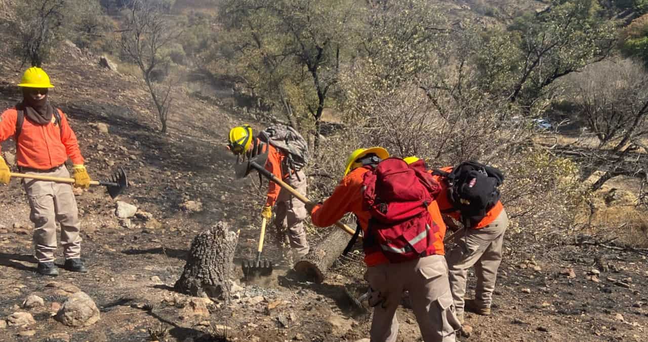 Protección Civil califica a 9 municipios del sur de Sonora como riesgo crítico de incendios