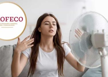 Profeco revela los mejores ventiladores para esta temporada de calor