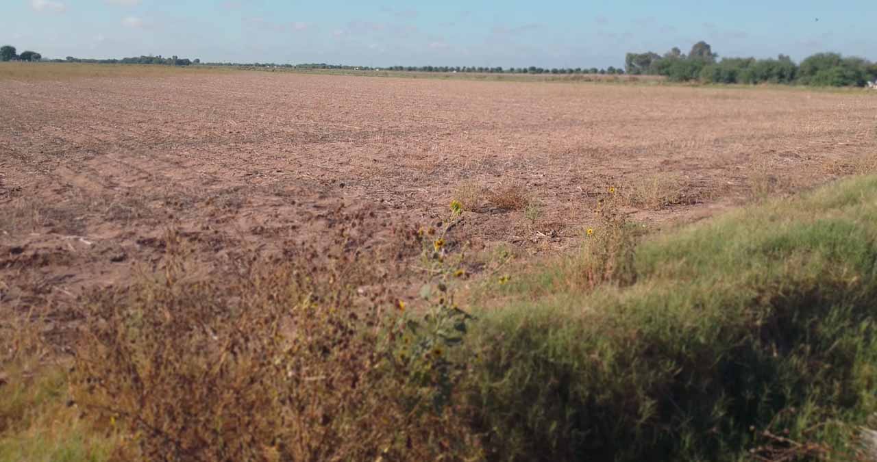 Se resienten efectos de la sequía: Coparmex