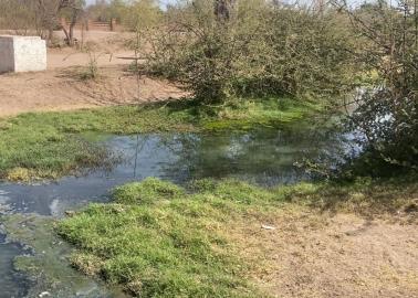 Contaminado, el Río Mayo