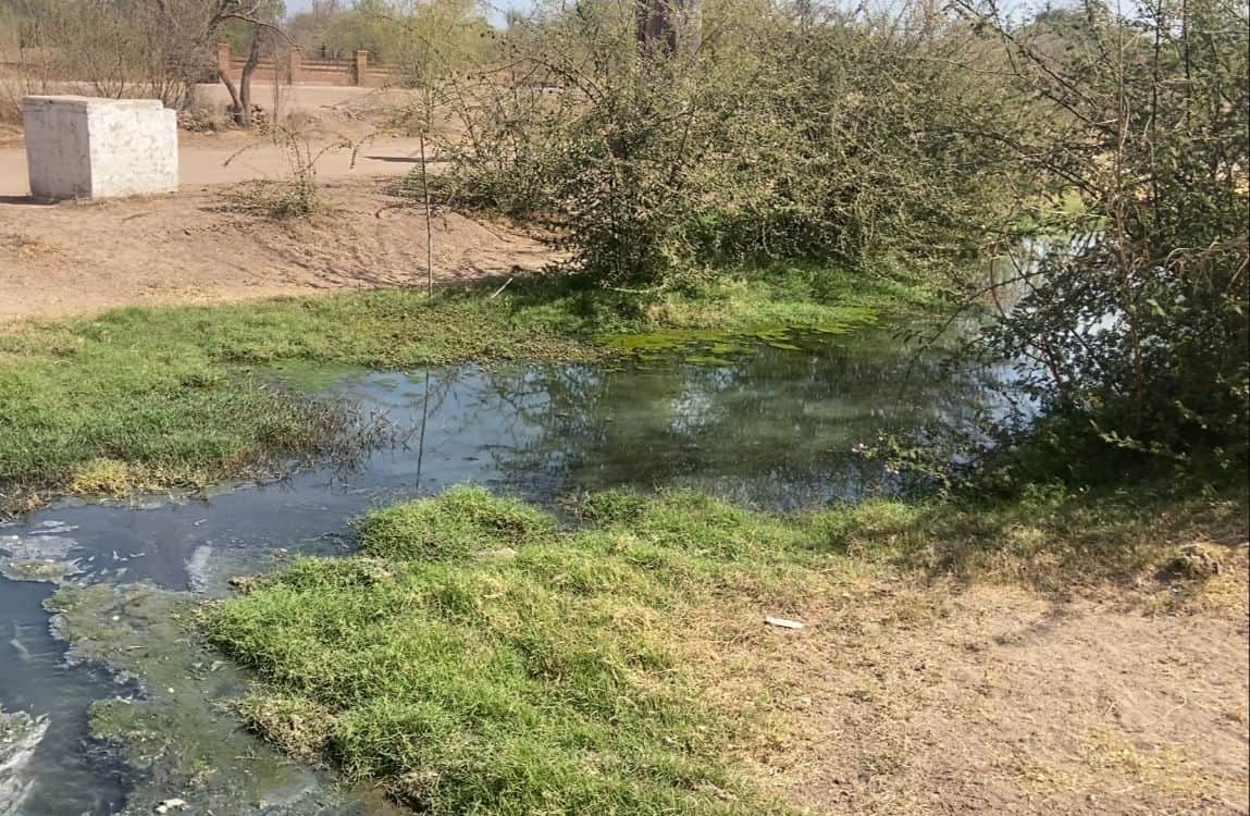 Contaminado, el Río Mayo