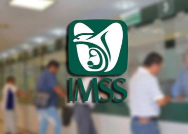 Asegurados del IMSS: este error puede costar semanas cotizadas y muchos lo hacen